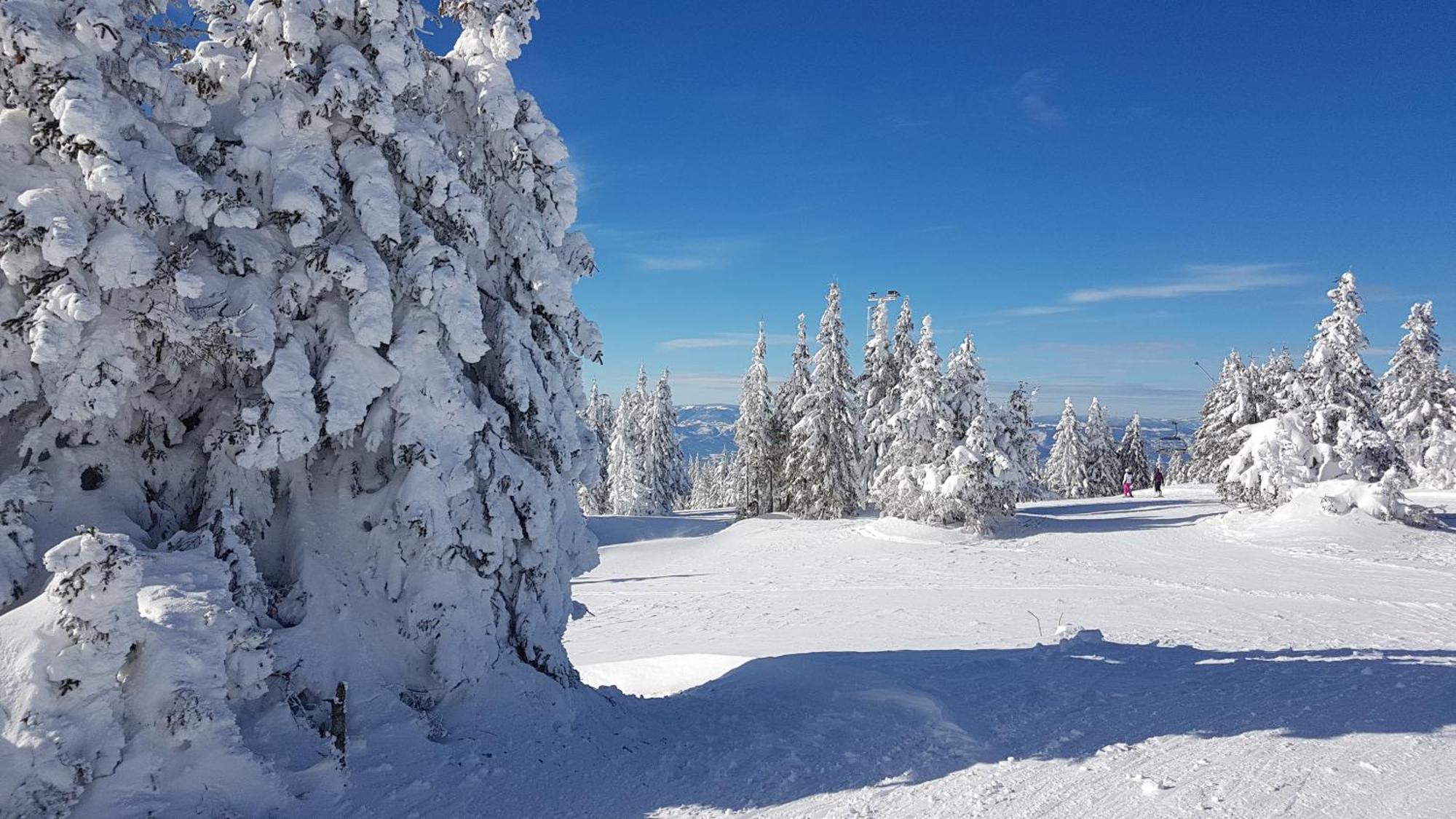 Marrilux Apartments Residence Hill Kopaonik Buitenkant foto